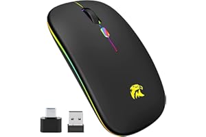 HZD Mouse Senza Fili LED Slim a Due Modalità(Bluetooth e 2.4G Wireless) Ricaricabile con Adattatore USB e Tipo C 3 DPI Regolabili per iPad OS 13/MacBook/Laptop/Mac OS (Black)