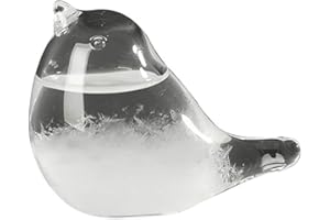 Fuoliystep Glass Storm Glass Weather Forecaster Barometer Predictor Office Desktop Home Decorative Gift for Women