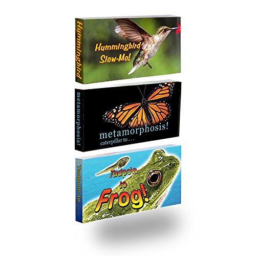 Fliptomania Natur-Daumenkino 3-Pack: Schmetterling, Kolibri, und Frosch-Flip Books
