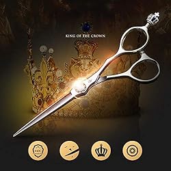 6.5 pouces en acier inoxydable 440C japonais haut de gamme coiffeur ciseaux de coiffure professionnels coiffeur outils spéciaux,6.5inch