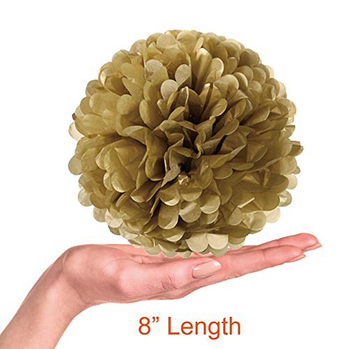 Paxcoo 30 Stück Rosa und Gold Tissue Papier Pom Poms Blumen Quaste Girlande für Geburtstag Hochzeit Party Dekorationen - 4