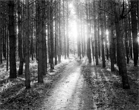 Preisvergleich Produktbild Summer Light