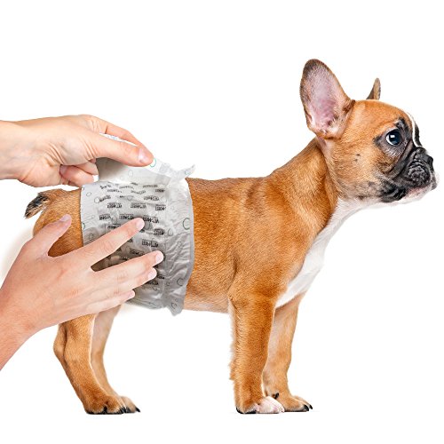 Vet's Best Comfort Fit Disposable Male Dog Diapers Absorbent Male