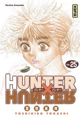Hunter x Hunter — Tome 25