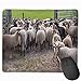 Produktbild Heathland Sheep Drenthe Animals Wildlife Aa En Hunze Gaming Mouse Pad Non-Slip Rubber Mouse Mat for Computers Desktops Laptop 9.8" X 11.8"