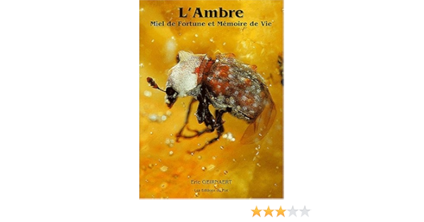 Amazon Fr Ambre Miel De Fortune Et Memoire De Vie Eric Geirnaert Livres