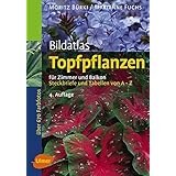 Bildatlas Pflanzenschutz An Zier Und Nutzpflanzen Krankheiten Und Schadlinge Erkennen Vorbeugen Und Richtig Behandeln Bildatlanten Amazon De Gut Philipp Burki Moritz Schloz Wolfgang Bucher