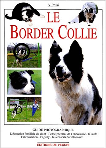 Le Border Collie gratuit Le Border Collie gratuit