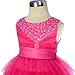 Dressy Daisy Baby Girls' Beaded Satin Tulle Tiered Wedding flower Girl Bridesmaid Dresses Party Dress Size 9-12 Months Hot Pink