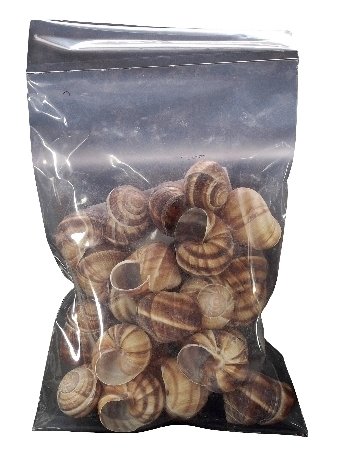 Preisvergleich Produktbild Schneckenhäuschen, 100 Stück / Beutel