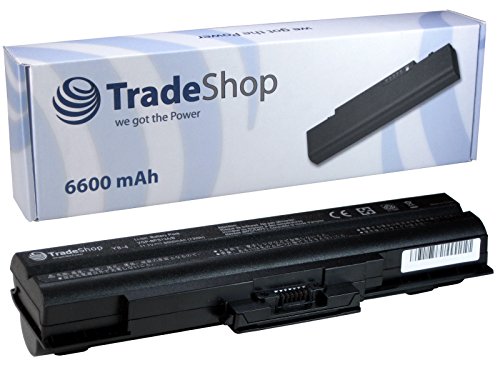 Hochleistungs AKKU 10,8V/11.1V 6600mAh für Sony Vaio ersetzt VGP-BPS-21 VGP-BPS-21B VGP-BPL-13A VGP-BPL-13/S VGP-BPS-21 VGP-BPS-21A VGP-BPS-1321B VGP-BPS-13B VGP-BPS-13Q VGP-BPS-13-A ohne Treiber-CD