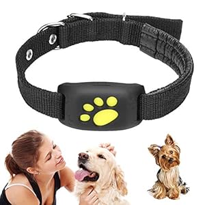 JUMOWA rastreador GPS para Mascotas, buscador Inteligente, Collar para Perro, Gato, Resistente al Agua, Carga USB, Banda de Actividad GPS con función de Llamada para Perros y Gatos