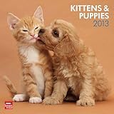 Kittens & Puppies 2013 - Kätzchen & Hundewelpen - Original BrownTrout-Kalender by 