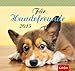 Für Hundefreunde 2015 by Nina Sandmann