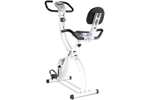 Tecnovita by BH Back FIT YF91 - Bicicleta estática Plegable magnética con cómodo sillín con Respaldo, Asas Laterales, Monitor LCD, 8 Niveles Resistencia, Ruedas Transporte