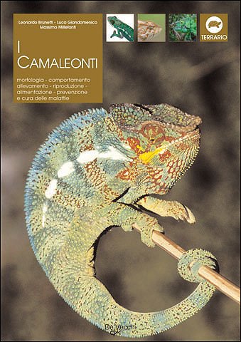 Download I camaleonti di montagna, di pianura e nani Download I camaleonti di montagna, di pianura e nani