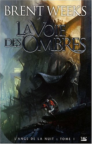 couverture de : La Voie des Ombres