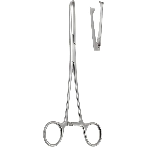 BSIPL German Steel Surgical Instrument Set - 5 Pcs (Surgical