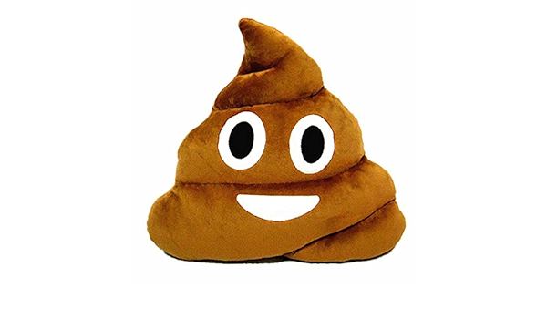 poop pillow amazon