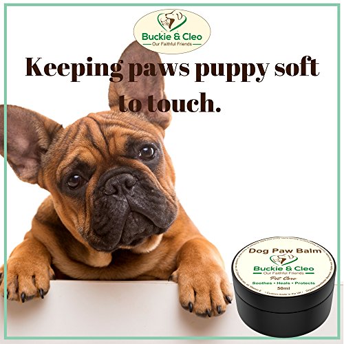 Patte-de-chien-Baume--apaisant-hydratant-et-Gurison-Beurre-Baume-pour-fissur-Sec-ou-Rugueuses-Paw-Coussinets-Naturel-de-protection-et-de-traitement-pour-les-chiens-sensibles-avec-les-douleurs-ou-Infla