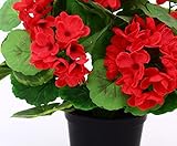 Geranien Kunstblumen im Topf 28cm hoch mit roten Blüten – Kunstpflanze künstliche Blumen Kunstblumen Blumensträuße künstlich, Seidenblumen oder Blumen aus Plastik Kunststoff - 3