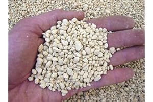 GEOSISM & NATURE Kanuma dur qualité 2/5 mm (1 kg - c.ca 2,2 lt), pour bonsaï de acidophile