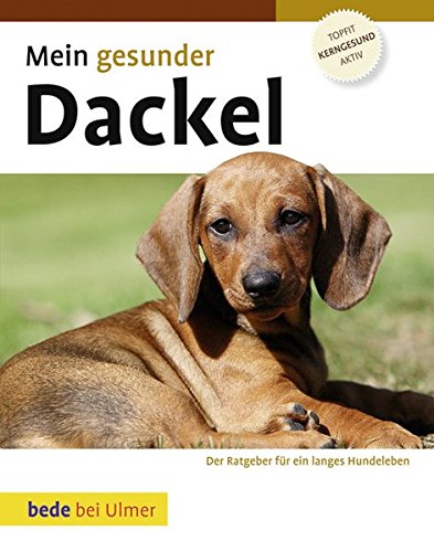 Download Mein gesunder Dackel