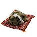 Produktbild Baoblaze Mini Dekofigur Schlafende Kätzchen Tierfigur Gartendeko Dekokatze Presse Ton - Braun, 13 x 8x 4cm