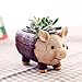 Produktbild Kunstharz Sukkulente Blumentopf kawaii pinsjar Cartoon Elefant Pig dem Spiel Micro Landschaft Garten Home Dekoration Übertopf
