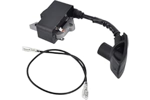 Cancanle Module de Bobine d'allumage pour Stihl BR500 BR550 BR600 Souffleur de Feuilles