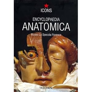 ENCICLOPEDIA ANATOMICA ICONS