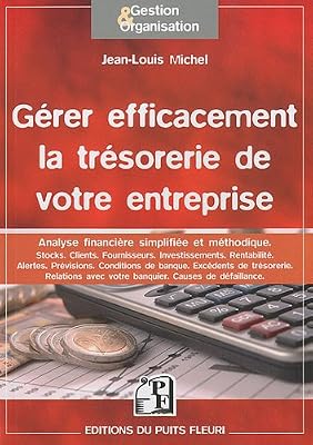 Gérer efficacement la trésorerie de votre entreprise: Analyse financière simplifiée et méthodique. Stocks, clients, fournisseurs, investissements, ... avec votre banquier, causes de défaillance.