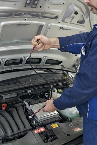 Vigor V1764 Krallengreifer - 2