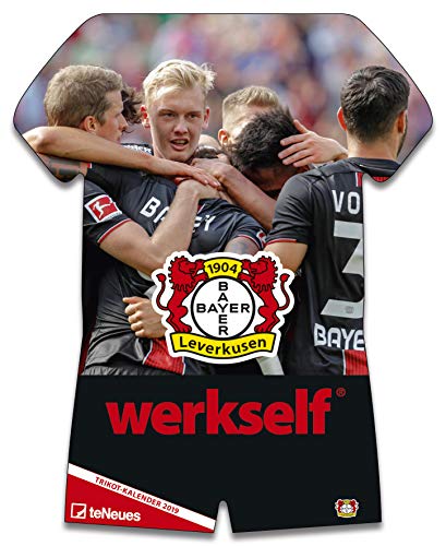 Bayer 04 Leverkusen 2019 - Trikotkalender Bayer Leverkusen, Fankalender, Wandkalender, Fankalender - 34 x 42 cm