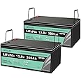LiFePO(24V)-LiFePO4 Battery 24V(25.6V) 300Ah Lithium leisure battery, Lithium Iron Phosphate Battery for RV, Boat, Marine, Solar System,etc.(2 packs in series)
