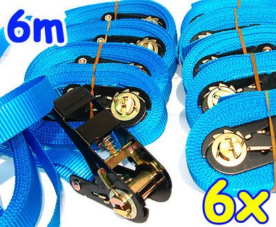 6 Zurrgurte mit Ratsche 6 m 0,8 t EN-12195-2 blau Spanngurte 6m