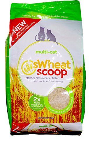 swheat scoop litter