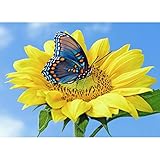 ✿✿malerei acryl abstrakte bilder acryl moderne kunst bilder kaufen abstrakte bilder leinwand acryl abstract gemälde abstract abstrakte wandbilder bilder abstrakte kunst wandbild abstract abstrakte malerei bilder kunst gemälde kaufen moderne kunst kaufen bilder wohnzimmer abstract abstrakte leinwandbilder abstrakte kunst acryl ölbilder abstract abstrakte bilder malen abstrakte malerei kaufen abstrakte malere