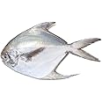 Silver Pomfret Fish ~350gr x 2