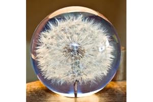 ZHYX Presse-papier en forme de pissenlit - Boule de rêve - Boule de vœux en cristal - Presse-papier unique en forme de pissenlit - Cadeau parfait - 9 cm de diamètre