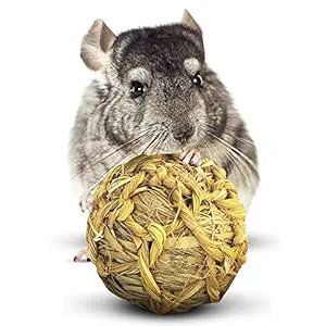 SunGrow Natural Seagrass Ball - Perfect & Safe Chewable Teething Toy for Rabbits, Cats, Hamsters, Gerbils & Birds : Healthy for Your Pet's Gums & Teeth