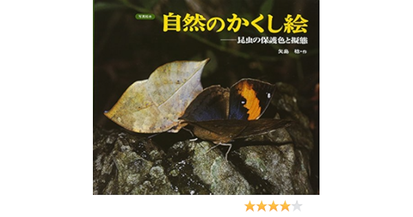 Amazon Fr 写真絵本 自然のかくし絵 昆虫の保護色と擬態 Minoru Yajima Livres