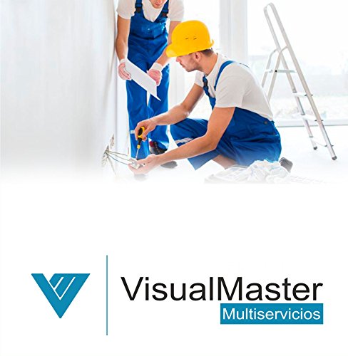 Software de Gesti  n Integral VisualMaster Multiservicios Licencia Profesional Perpetua