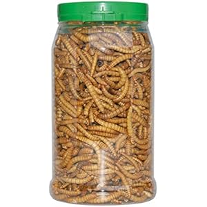 Dragon - CRISPY FOOD - Mehlwürmer, gefriergetrocknet ca. 50g