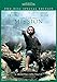 The Mission [1986] [DVD]