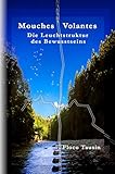 Mouches Volantes: Die Leuchtstruktur des Bewusstseins by Floco Tausin