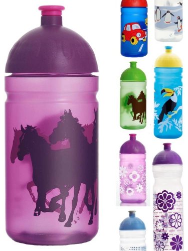 ISYbe Trinkflasche, schadstofffrei, spülmaschinengeeignet, auslaufsicher