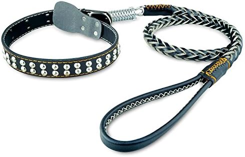 DogJog Genuine Leather Chain Dog collar Heavy duty dog leash collar Soft Drag Rope,Neck Chain,Daily Training for Medium and Large dogs (M)