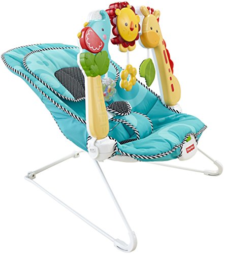 Fisher-Price 2-in-1 Sensory Stages Bouncer