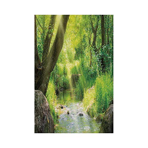 gthytjhv Forest Stream Cascade in Tropical Forest among Trees Jungle Woodland Serene Landscape Decorative Brown Lime Green House Garden Family Event Decoration